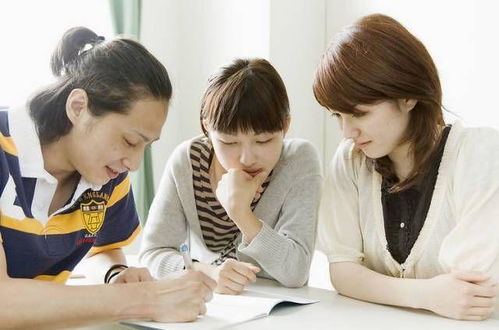 自考大专 本科学历,能否参加下半年公务员考试