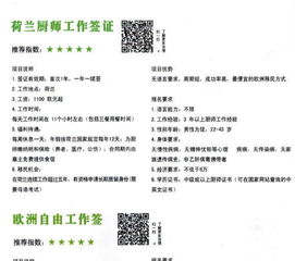 石家庄易知出国教育信息咨询公司