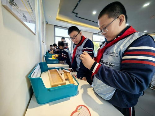 填补教育系统心理研学行业空白 全国首家青少年学生心理健康成长研学基地在平阴正式启动