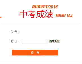 2016哈尔滨中考成绩查询查分指南