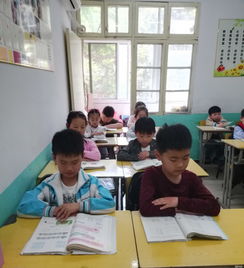 合肥绿荫教育咨询有限责任公司招聘信息 公司前景 规模 待遇怎么样