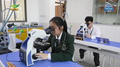 教育动态 南京师范大学附属中学秦淮科技高中举行2021年中招校