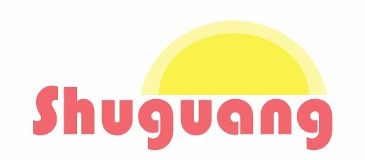 大连曙光未来星教育信息咨询