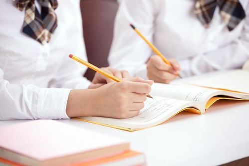 2020山东教师资格综合知识与能力 辨析题答题技巧及题目练习