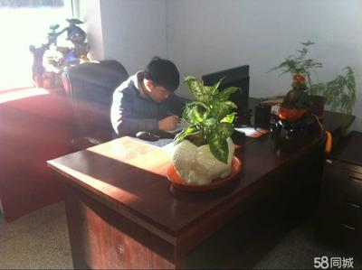 佳木斯卓凯教育信息咨询