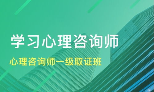北京心理咨询师一级取证班价格及机构选择指南