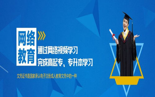 教育信息咨询行业动态与企业商情分析