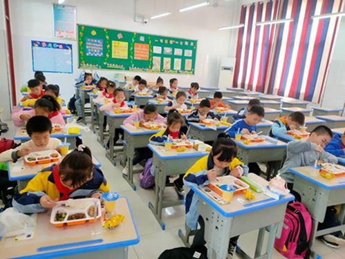 日照文明网 引领教育信息咨询新风尚