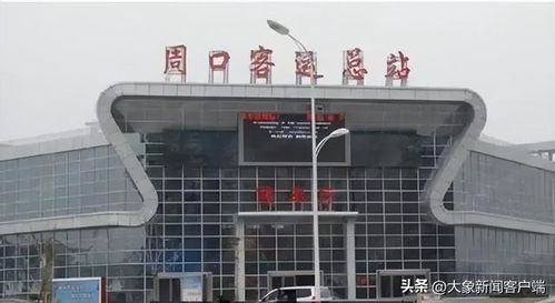 河南发布千余家儿科医疗机构名单，周口客运总站暂停运营