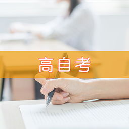 天津慧永诺教育信息咨询 助力教育规划与成长